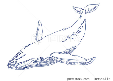 座頭鯨簡單一筆畫 109346116