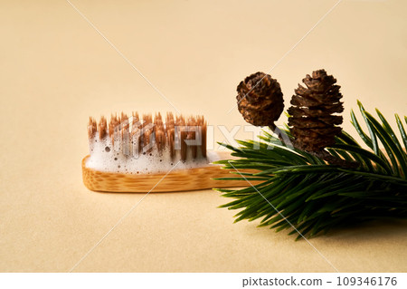 Toothbrush with toothpaste foam on a background of pine needles and cones. 109346176