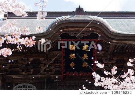 古都鎌倉的春天，建長寺、三門的櫻花 109346223