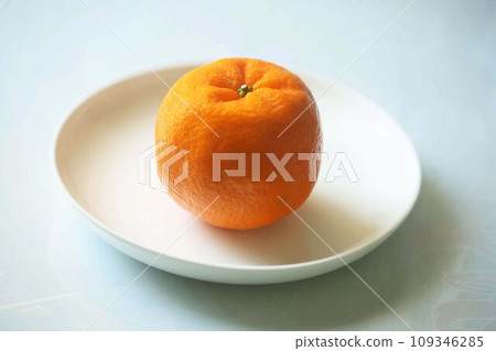 冬季至早春的椪柑水果 109346285