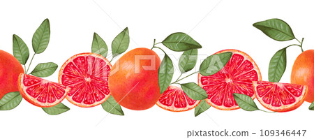 Seamless horizontal grapefruit border. Whole and slices with natural product leaves. Watercolor and marker illustration. Citrus healthy food for vegans. Border line. Vitamin C. Hand drawn isolated. Seamless horizontal grapefruit border. Whole and slices with natural product leaves. Watercolor and marker illustration. Citrus healthy food for vegans. Border line. Vitamin C. Hand drawn isolated. 109346447