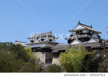 松山城，日本三大聯軍平山城之一 109347422