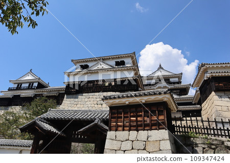 松山城，日本三大聯軍平山城之一 109347424
