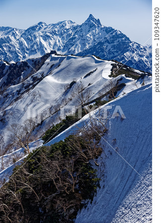 從北阿爾卑斯山的津巴嶽山脊看到的午後陽光下殘雪漂浮的矢鹿岳 109347620