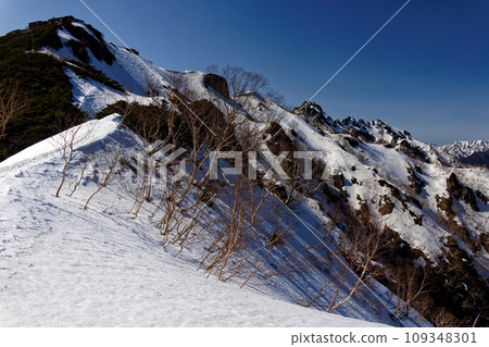 Enzanso and Mt. Tsubaku seen from the top of Kassen Ridge in the Northern Alps with remaining snow 109348301