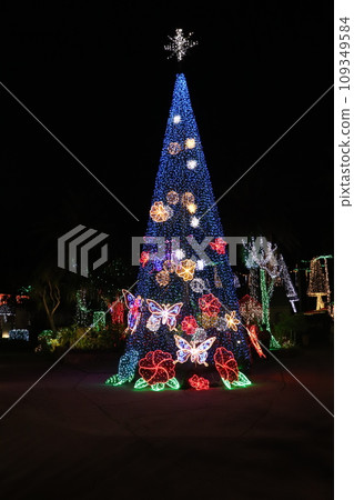 2023-2024 "Okinawa Tropical Illumination" in the Southeast Botanical Garden of Okinawa 109349584