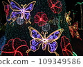 2023-2024 "Okinawa Tropical Illumination" in the Southeast Botanical Garden of Okinawa 109349586