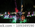 2023-2024 "Okinawa Tropical Illumination" in the Southeast Botanical Garden of Okinawa 109349590