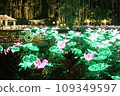 2023-2024 "Okinawa Tropical Illumination" in the Southeast Botanical Garden of Okinawa 109349597