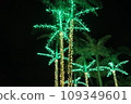 2023-2024 "Okinawa Tropical Illumination" in the Southeast Botanical Garden of Okinawa 109349601
