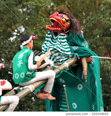 播州姬路秋季祭、英賀神社舞獅、梯獅 播州姬路秋季祭、英賀神社舞獅、梯獅 109349693