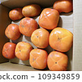 Persimmons received as hometown tax in 2023 109349859