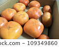Persimmons received as hometown tax in 2023 109349860