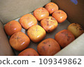 Persimmons received as hometown tax in 2023 109349862