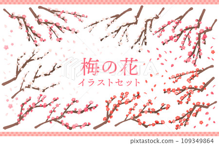 梅花插畫集 109349864