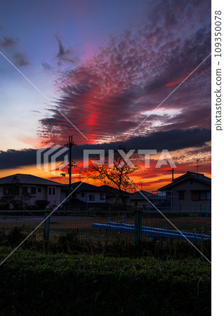 Late autumn sunset in a residential area in Nara City. The sun setting behind the row of houses in the park and the sunset spreading across the sky⑦ Late autumn sunset in a residential area in Nara City. The sun setting behind the row of houses in the park and the sunset spreading across the sky⑦ 109350078