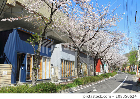 SAKUMACHI Shopping Street, Kita-ku, Nagoya 109350624