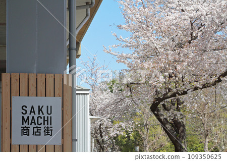 SAKUMACHI Shopping Street, Kita-ku, Nagoya 109350625