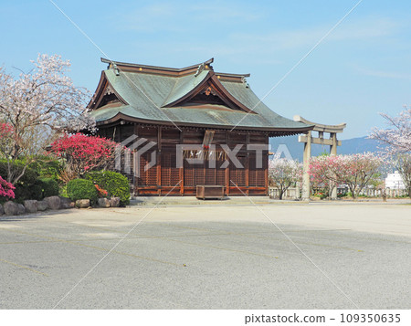 長田市的多賀神社，以桃子 Hirukosha 和桃花聞名 109350635