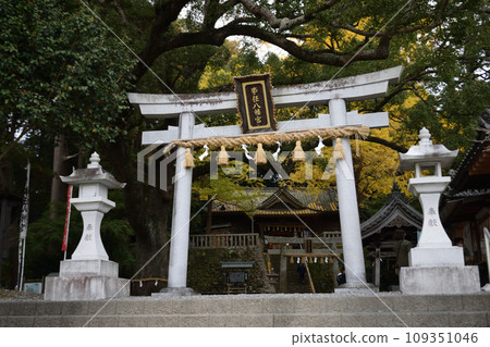 八幡宮 八幡宮 109351046
