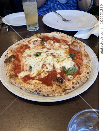 A delicious-looking pot-fried, freshly baked margarita pizza. A delicious-looking pot-fried, freshly baked margarita pizza. 109351289