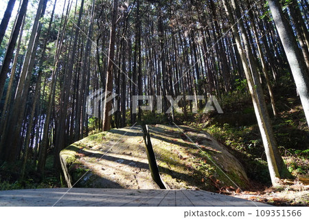 柳生之裡的天石立神社 109351566