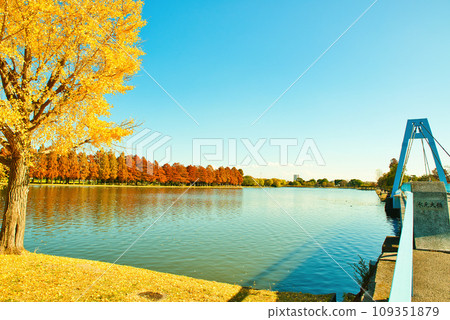 Mizumoto Park in late autumn Mizumoto Bridge and autumn leaves scenery 109351879