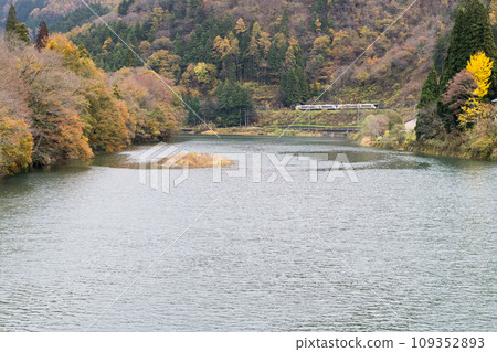[高山本線]穿過奧飛鎢的特急飛驒8號，紅葉滿天飛 109352893