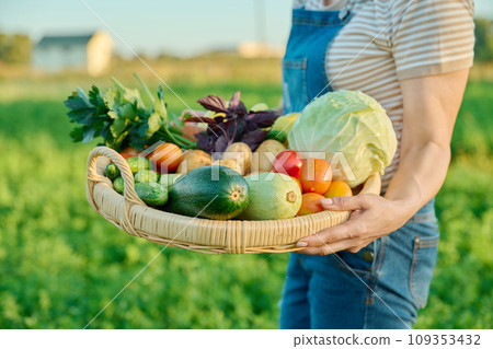 Basket with harvest of summer vegetables in hands of woman, farmer's market 109353432