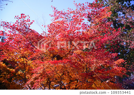 甲斐武田氏的家廟 - 惠林寺 109353441