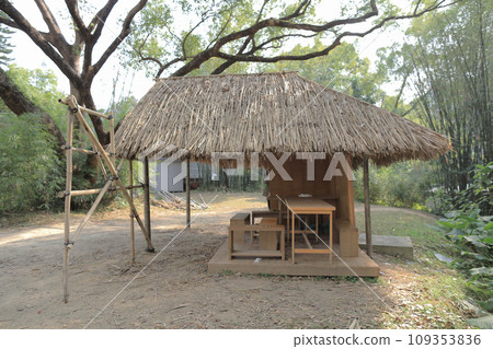 Feb 8 2015 making of bamboo house at the park Feb 8 2015 making of bamboo house at the park 109353836
