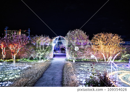 Illumination of Biwako Otsukan Illumination of Biwako Otsukan 109354026