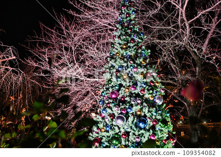 Biwako Otsukan的照明 109354082