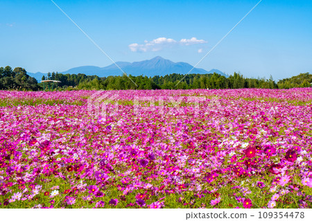 南部交流廣場的宇宙和霧島山脈風景（都城市） 109354478