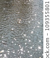 Lights shining on the pond water 109355801