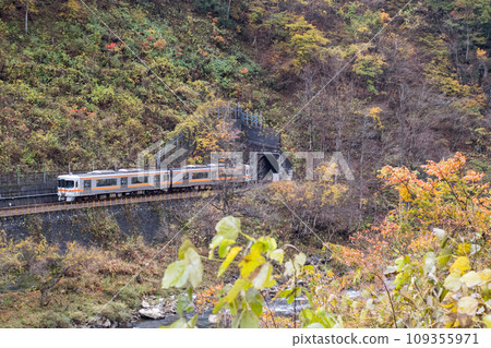 [Takayama Main Line] Local trains running in Okuhida in late autumn 109355971
