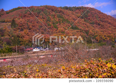 深秋的甲州鹽山 深秋的甲州鹽山 109356090