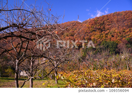 Koshu Salt Mountain in late autumn Koshu Salt Mountain in late autumn 109356094