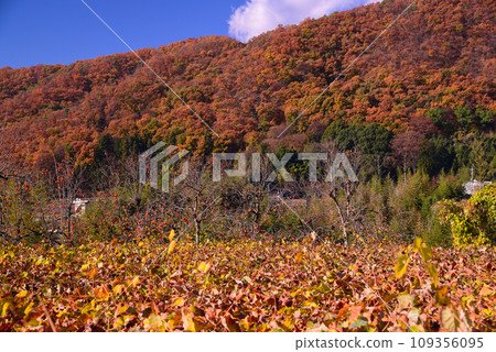 Koshu Salt Mountain in late autumn Koshu Salt Mountain in late autumn 109356095