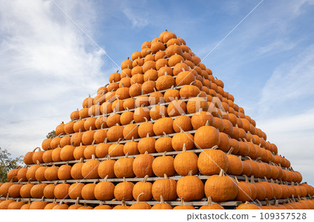 Beautiful decoration of pumpkins, a pyramid decorated with pumpkins, blue sky with clouds Beautiful decoration of pumpkins, a pyramid decorated with pumpkins, blue sky with clouds 109357528