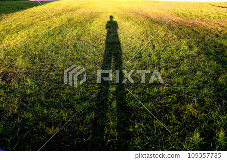 被夕陽染紅的草地，一個影子，一個夏日，一個大影子 109357785