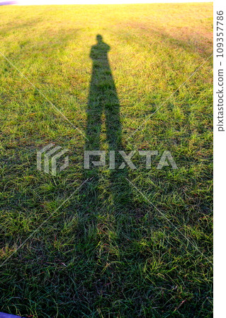 被夕陽染紅的草地，一個影子，一個夏日，一個大影子 109357786