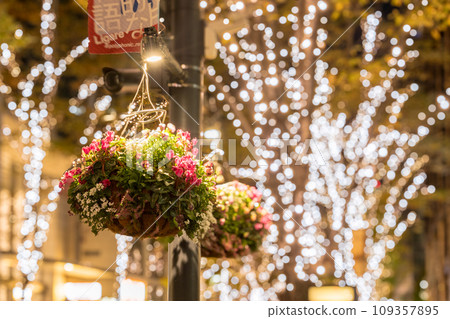 "Tokyo" Marunouchi Nakadori Illumination 109357895