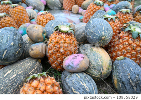 Pear, Pumpkin, Tudzu grass ground Pear, Pumpkin, Tudzu grass ground 109358029
