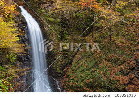 秋天的大山瀑布 - 紅葉和瀑布 - Seritate Yataki Falls 109358039