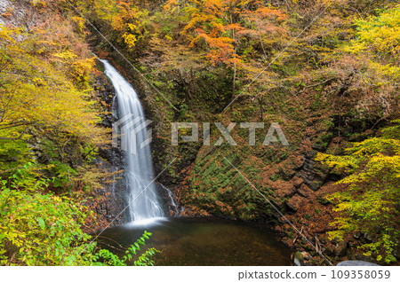 秋天的大山瀑布 - 紅葉和瀑布 - Seritate Yataki Falls 109358059