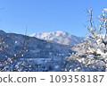 Winter scenery from Shirakawa-go 109358187