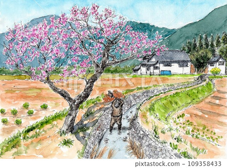 早春風景與紅梅花 109358433