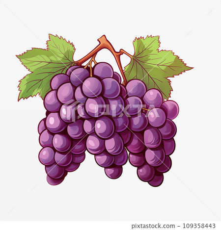 Hand drawn cartoon fresh grape illustration Hand drawn cartoon fresh grape illustration 109358443