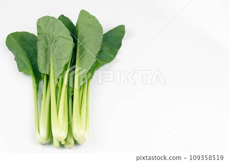 新鮮的日本芥末菠菜 109358519